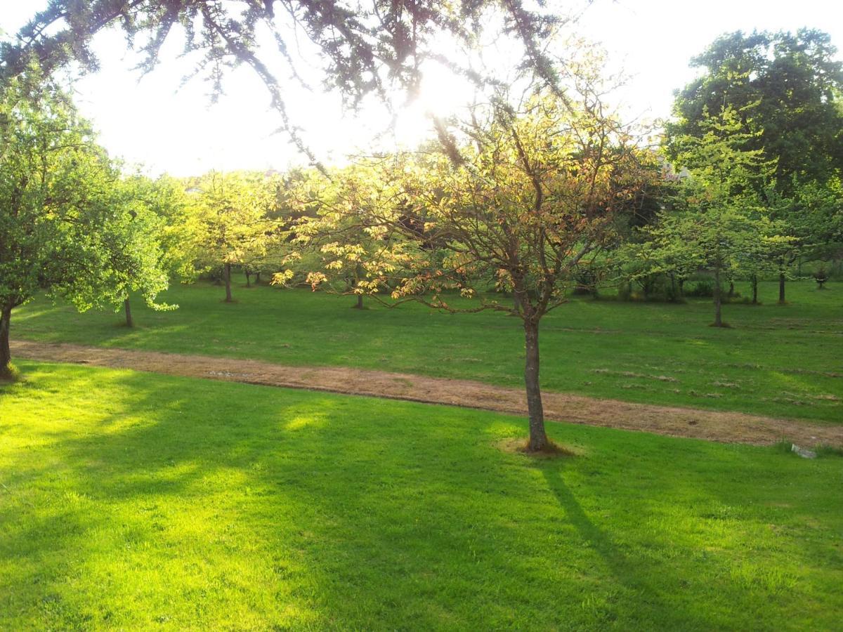 Domaine Du Bocage Chavagnes-en-Paillers Exterior foto